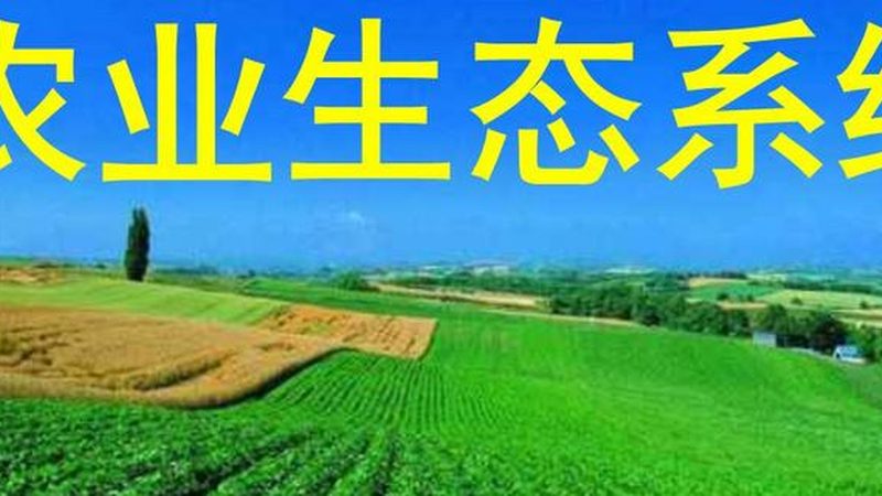反季节水果种植怎么选品种