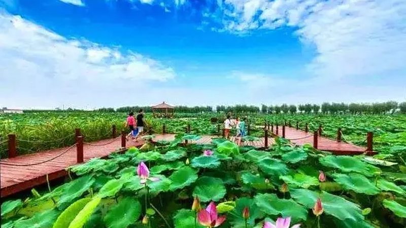 水果种植设备：品牌型号参数解析与选购要点