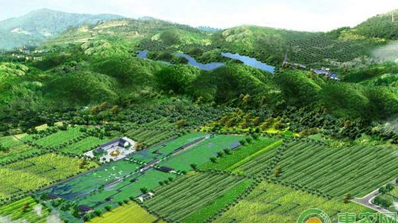 乡村音乐节活动策划：如何打造一场别开生面的田园盛宴