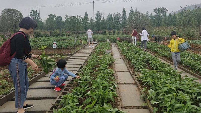 农业休闲园区规划模型图：打造生态旅游新亮点**