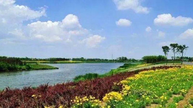 有机种植大棚：规格参数揭秘，助力绿色农业发展**