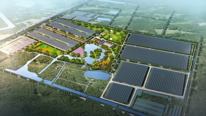 南方水果种植基地：新手创业的沃土选择**
