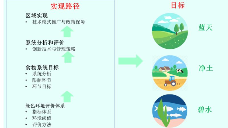 生鲜配送承包合同书电子版：关键要素与注意事项