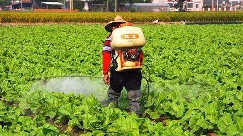 昆明农业种植技术培训学校排名：如何选择适合自己的培训课程