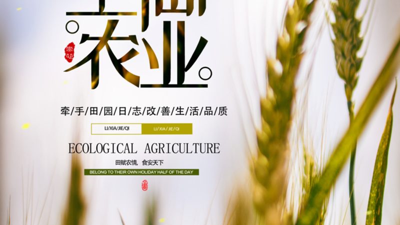 农业观光园规划设计与施工：打造生态旅游新亮点
